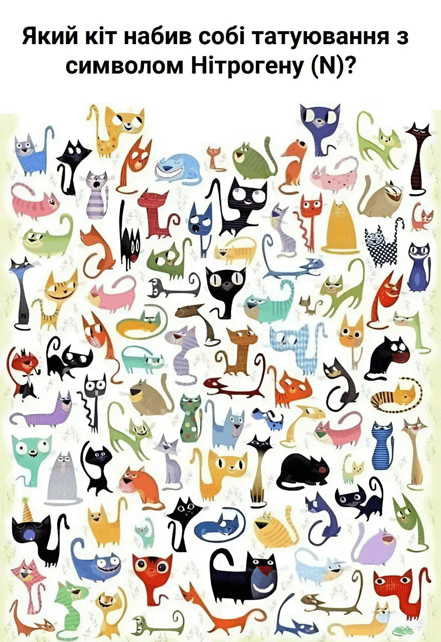 06034e2z-1622-879x1280.png