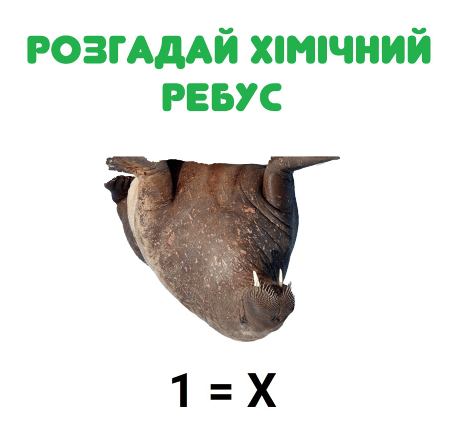 06034e3l-0a48-940x875.png