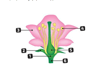 06034ez3-7ac8-399x289.png