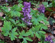 06034ezb-9b10-235x181.jpg