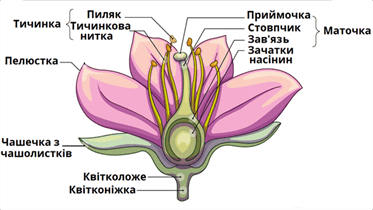 06034fpi-5814-373x210.png