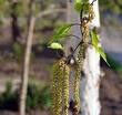 06034g70-696a-110x104.jpg