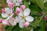 06034g78-5685-165x110.jpg