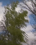 06034i0f-f059-117x147.png