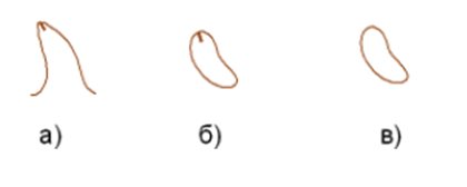 06034ife-1f68-420x168.png