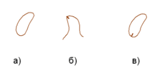 06034ikt-0046-556x288.png