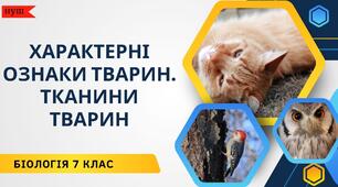 Характерні ознаки тварин. Тканини тварин