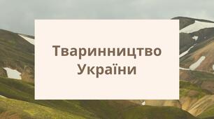 Презентація на тему "Тваринництво України"