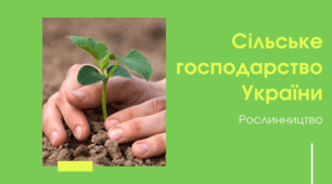 Презентація на тему "Сільське господарство України. Рослинництво"
