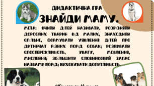 Дидактична гра "Знайди маму"