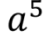 06034va3-edee-54x35.png