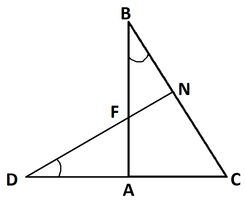 06034wk4-ed48-807x697.png