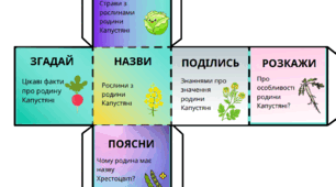 Кубик Блума