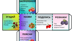 Кубик Блума "Родина Розові"