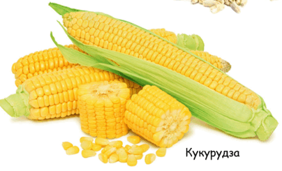 060350uc-e47e-404x245.png