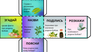 Кубик Блума "Родина Бобові"