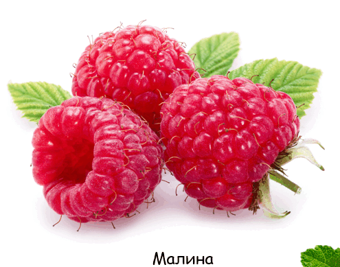 060350vq-ef53-495x389.png