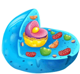 060351aq-2a56-269x251.png
