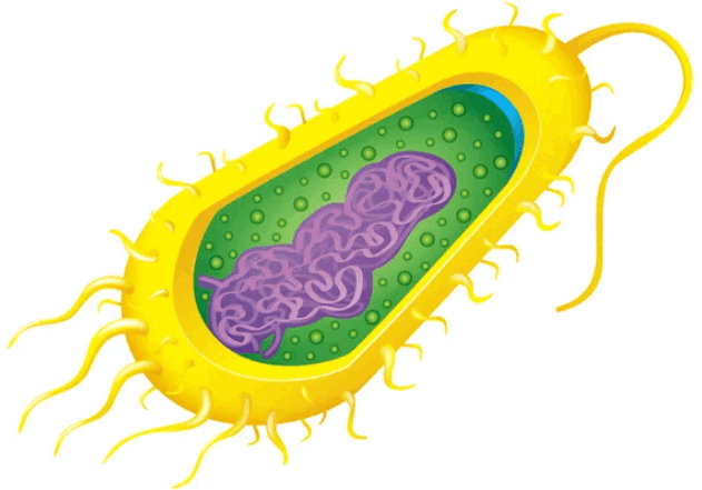 060351cu-7561-631x441.png