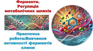Презентація - Ферменти. Регуляція метаболічних шляхів.