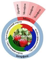 060351v3-a177-198x254.jpg