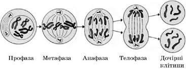 060351vr-1eac-367x137.jpg