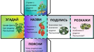 Кубик Блума "Родина Пасльонові"
