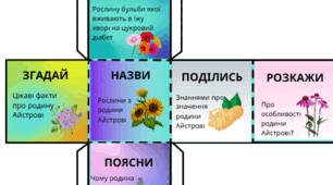 Кубик Блума "Родина Айстрові"