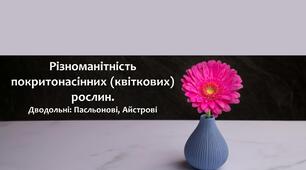 Різноманітність покритонасінних (квіткових) рослин. Дводольні: Пасльонові, Айстрові