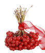 060354bl-c253-88x104.png