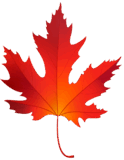 06035578-fc7b-124x160.png