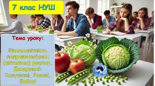 Презентація з біології для учнів 7 класу НУШ. Тема уроку: Різноманітність покритонасінних (квіткових) рослин. Дводольні: Капустяні, Розові, Бобові.