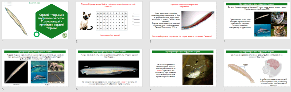 060356om-5cdf-940x299.png