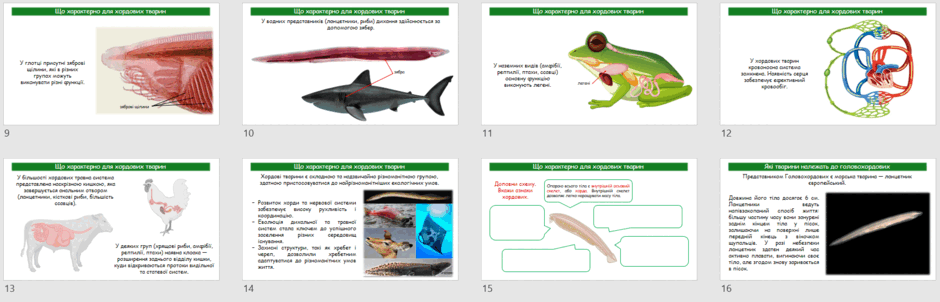 060356ot-b449-940x302.png