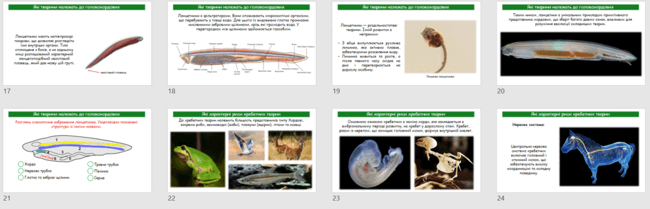 060356p5-763f-940x302.png