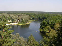 0603599u-9288-244x183.jpg
