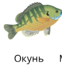 06035aff-4bcd-129x144.png