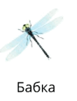 06035ag1-f753-112x147.png