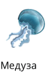 06035ag9-d045-107x151.png
