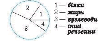06035ba8-66da-334x133.png