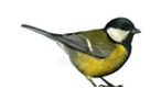 06035bbh-7242-146x91.png