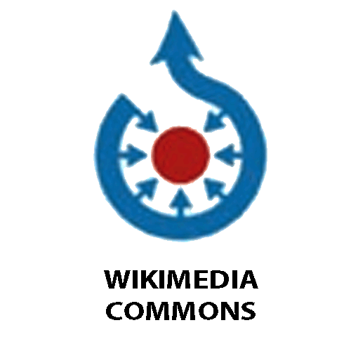 06035dv3-462a-500x500.png