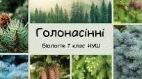 Голонасінні