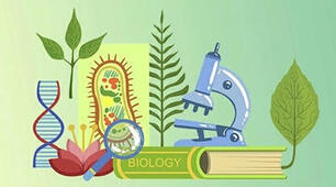 Амфібії. Різноманіття амфібій, роль і значення в екосистемах та житті людини