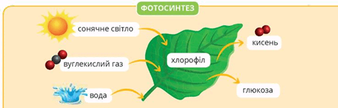 06035hqk-0d02-488x156.png