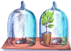 06035ie7-c301-431x309.png