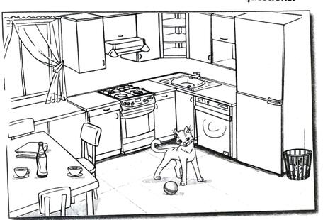 06035lid-71aa-456x310.jpg