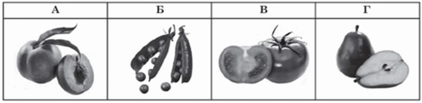 06035m36-ecb2-615x151.png