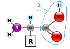 06035md9-9633-228x162.png