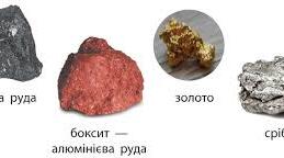 Діагностувальна робота з теми "Корисні копалини"